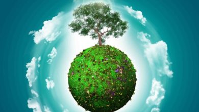 Photo of 5 Giugno Giornata Mondiale dell’Ambiente: Riflessioni sull’equilibrio Uomo-Terra e sulla salute del Pianeta