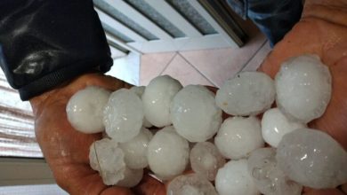 Photo of Una Grandinata nel beneventano causa danni ingenti alle colture