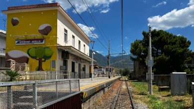 Photo of Un Cittadino in allarme per l’abbattimento dei platani alla Stazione della Circum Sperone/Avella