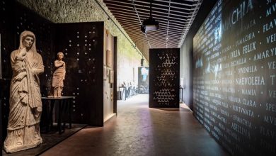 Photo of “ESSERE DONNA NELL’ANTICA POMPEI”: MOSTRA ALLA PALESTRA GRANDE