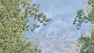 Photo of Incendi: Stato di calamità sì? Stato di calamità naturale no?