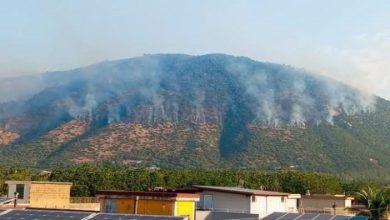 Photo of L’incendio della Foresta demaniale di Roccarainola e l’inefficienza ed inettitudine delle Amministrazioni comunali dell’area nolana