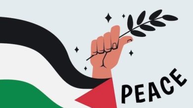 Photo of Lauro aderisce alla Rete degli Enti locali per i diritti del popolo palestinese