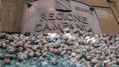 Photo of Crisi della nocciola: L’Associazione Valle del Clanio al Tavolo Regionale con Proposte e Soluzioni per una Corilicoltura resiliente