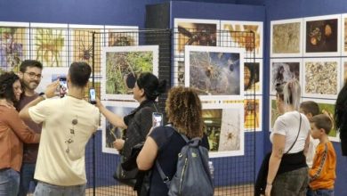 Photo of Città della Scienza / Mostra “ARACHNIDA”: Incontro con il biologo Gabriele Greco