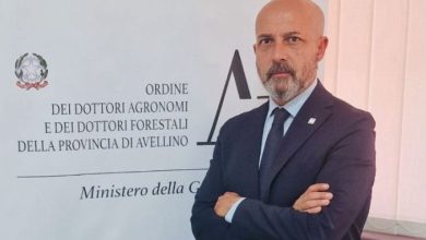 Photo of Avellino: Si celebra la Festa Nazionale dell’Albero