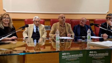 Photo of Pacello da Mercogliano: l’uomo e la sua eredità dimenticata. Un ponte di verde tra Rinascimento italiano e francese