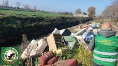 Photo of Marigliano, maxi–discarica abusiva lungo il Regi Lagni: la Guardia Agroforestale denuncia un disastro ambientale