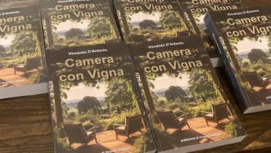 Photo of Napoli/Vomero: Presentato “Camera con Vigna” di Vincenzo D’Antonio