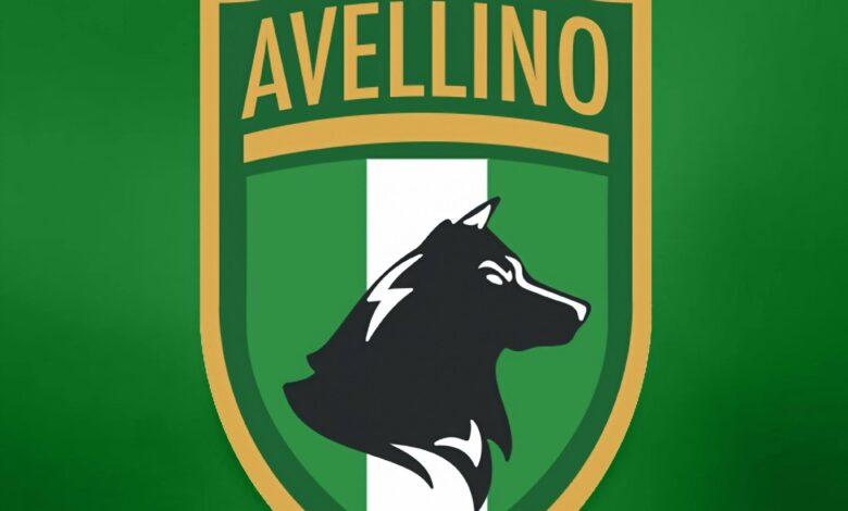 Photo of Avellino, nasce la nuova compagine d’Eccellenza “Città di Avellino SSD”
