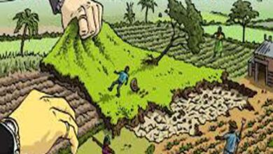 Photo of IL LAND GRABBING E I LADRI DI TERRE
