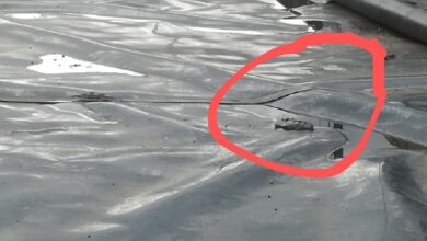 Photo of Marigliano, Mariglianella, Agrimonda: noi non abbiamo il bavaglio