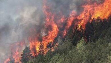Photo of Brucia la Campania: Il bollettino di guerra