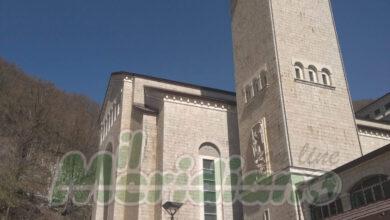 Photo of Montervergine “Campo Maggiore”\ Denunciate due persone per furto di legna in area protetta