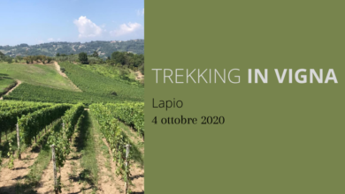 Photo of Trekking in vigna e degustazioni nel borgo del Fiano con il treno storico Irpinia Express