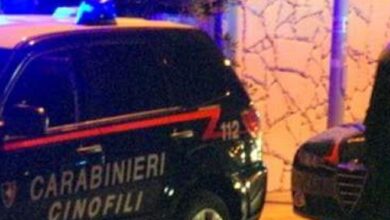 Photo of Lotta alla droga: segnalate 4 persone alla Prefettura