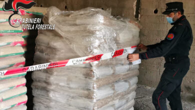 Photo of Parolise\ Vendita di pellet non conforme: denunciato il titolare di un’azienda