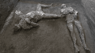 Photo of A Pompei rinvenuti due corpi intatti