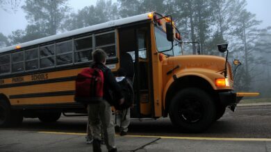 Photo of Baiano\ Non manda la figlia a scuola: denunciato 31enne
