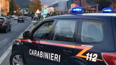Photo of Sirignano\ Coltivava canapa indiana nel giardino di casa: denunciato 20enne