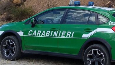 Photo of Irpinia\ Gestione illecita di rifiuti: denunciate due persone