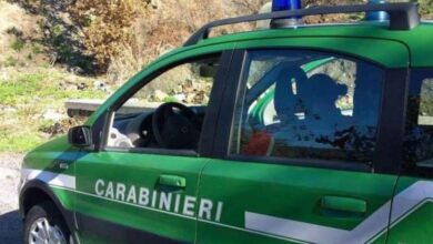 Photo of CONTROLLI DA PARTE DEI CARABINIERI DEL GRUPPO FORESTALE DI AVELLINO: DENUNCIATE 5 PERSONE