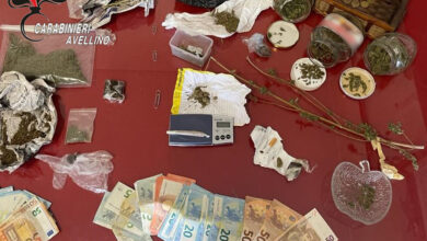 Photo of SERINO (AV) – LA DROGA NON SFUGGE AL FIUTO DI “OLLI” E “GERO”: ARRESTATI UN 19ENNE E UN 50ENNE PER SPACCIO.