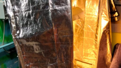 Photo of Avella: Denunciato dai Carabinieri della Compagnia di Baiano 28enne del Vallo di Lauro in possesso di cannabis