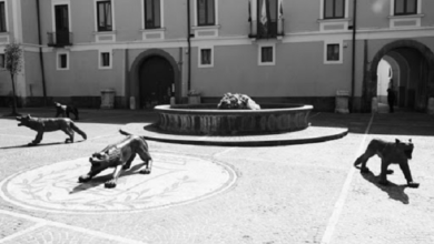 Photo of Amministrative 2021\ Avella: ecologia, turismo, agricoltura, medicina territoriale. Discorso pubblico aperto e spirito di servizio per rotte da seguire