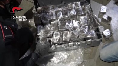 Photo of VIGNATE (MI): IMPORTANO DALLA SPAGNA 256 KG DI HASHISH CELATI TRA MANGIME PER ANIMALI, MARITO E MOGLIE ARRESTATI