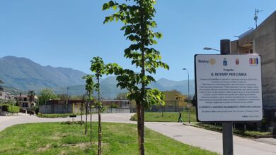 Photo of Il Rotary Club Marigliano e Nola-Pomigliano contro l’inquinamento delle polveri sottili