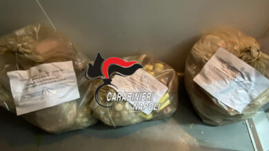 Photo of Nola\ Sequestrati 250kg di alimenti ad un noto ristorante