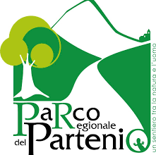 Photo of Avella: Due giornate all’insegna dell’Ambiente e della Cultura