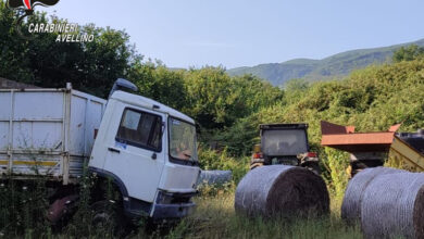 Photo of DOMICELLA – SEQUESTRATA UN’AREA DI 28MILA METRI QUADRATI CON RIFIUTI VARI E VEICOLI IN DISUSO. DENUNCIATE TRE PERSONE
