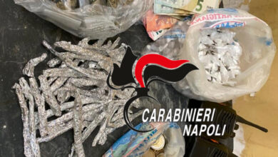 Photo of Caivano: setacciato il Parco Verde. Centinaia di dosi stupefacenti sotto sequestro