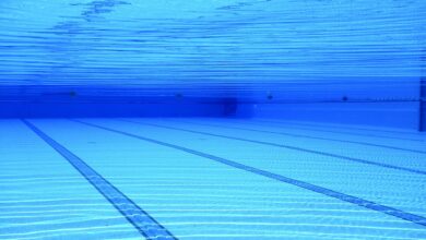 Photo of PISCINA IN VENDITA ONLINE, MA È UNA TRUFFA: DENUNCIATE DUE PERSONE