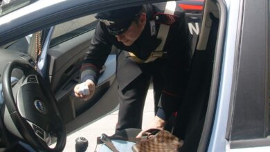 Photo of CASTELLAMMARE DI STABIA: Sequestrata droga nel rione Savorito. 1 arresto e 3 denunce