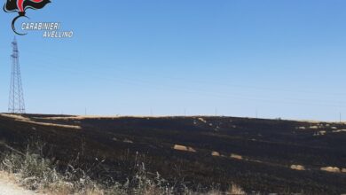 Photo of Bisaccia\Rogo al campo di grano. Trentenne incastrato dalle telecamere e dal GPS