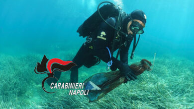 Photo of Pesca di frodo minaccia le aree protette dell’isola: 3 sub denunciati, 17 le sanzioni