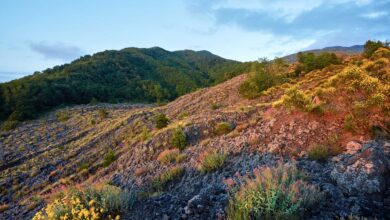 Photo of Terzigno, Parco Nazionale del Vesuvio: incendi boschivi, arrestano 70enne incensurato
