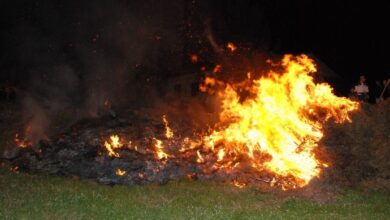 Photo of Cesinali\ Roghi agricoli: denunciato 60enne