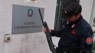 Photo of MARIGLIANO: Caccia illegale con richiami vietati, denunciato cacciatore 50enne