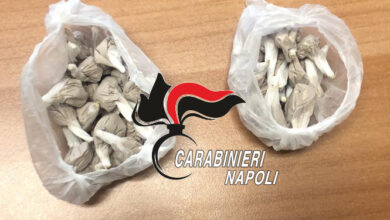 Photo of Servizio anti-droga: arrestati 4 pusher