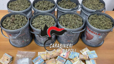 Photo of Caivano: Continuano i controlli dei Carabinieri. Un pusher arrestato, sequestrati migliaia di euro e droga