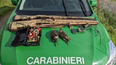 Photo of Napoli e Caserta: zone umide campane. Operazione dei Carabinieri Cites di Napoli, 11 bracconieri denunciati, diversi i sequestri