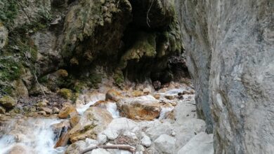 Photo of Senerchia: Riaperta l’Oasi WWF Valle della Caccia