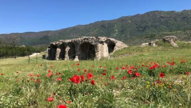 Photo of “Estate al Museo”: il MIA di Avella e l’Anfiteatro romano aderiscono all’iniziativa