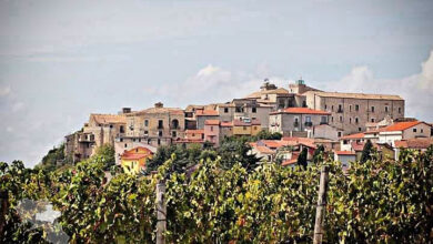 Photo of Fiera Enologica di Taurasi: “Storia di un amore” dall’11 al 15 agosto