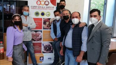 Photo of Visciano: Convegno organizzato dalla Cooperativa Agricola “Il Guscio OP” su “Il nocciolo e l’ecosostenibilità”
