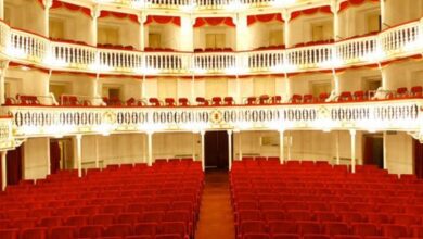 Photo of Napoli / Teatro Sannazaro: Dal 10 febbraio 2023 MARGUERITE di e con Cristina Donadio e Matthieu Pastore